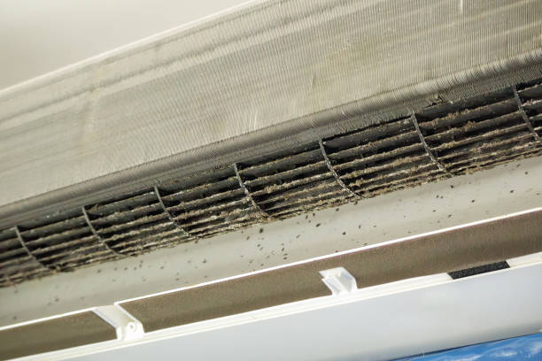 Air Duct Mold Removal in Laurel Hill, VA